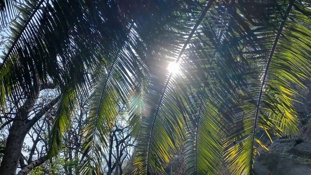 Чапультепек - самое красивое место в Мехико | Chapultepec Park смотреть онлайн