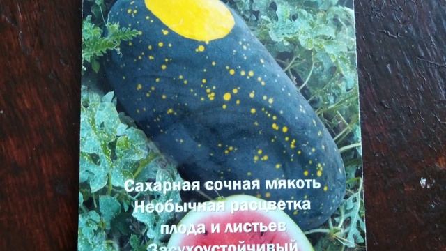 Арбуз "Звезда" и арбуз "Оранжевый король" . смотреть онлайн