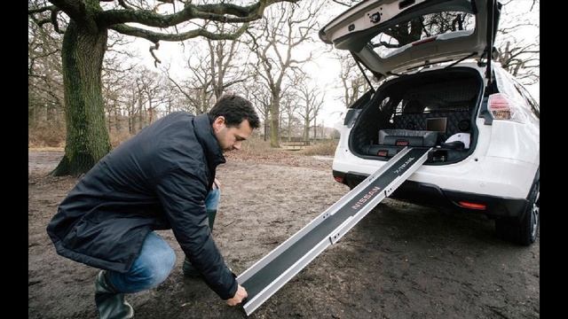 New Nissan X Trail Concept Was Made 4Dogs смотреть онлайн