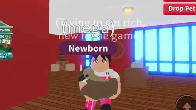 Logging into my first ever Roblox account *OMG* (I found old pets) смотреть онлайн