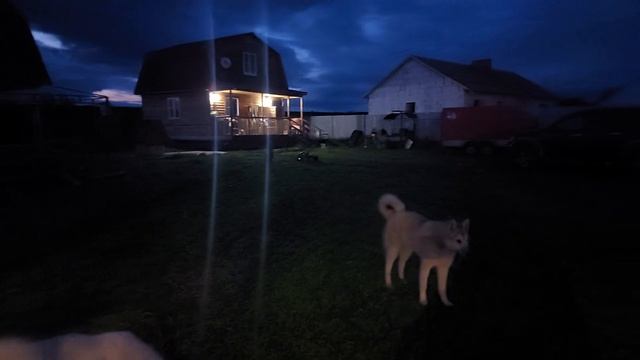 Ужин после дождей смотреть онлайн