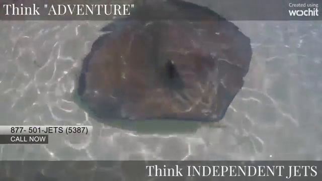videoplayback bahamas independent смотреть онлайн