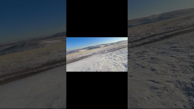 Охота на зайца комбайнера.