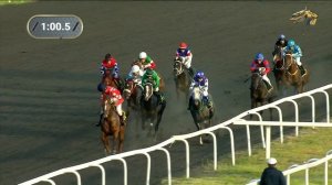 8-я Скачка. Приз Министерства сельхоза и продовольствия РТ. Казанский ипподром. 18.06.2022