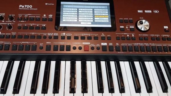 Korg Pa700 - Factory Demo Styles
