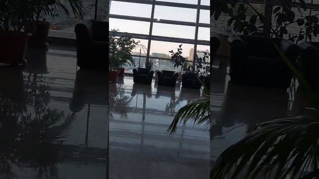 Поездка в Сочи | вокзал Адлера - зал Комфорт | 05:35 - 30 мая 2022 | #акоповтренер смотреть онлайн