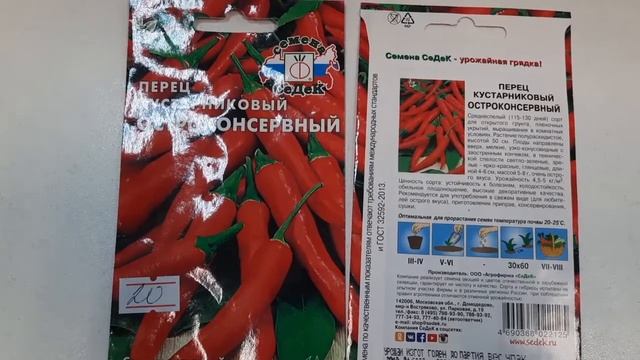 Салаты с Корицей