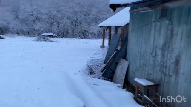 Домик в деревне за 5200$! наводим порядки , разбираем последний сарай.Проект будущего дома.Часть 3 смотреть онлайн