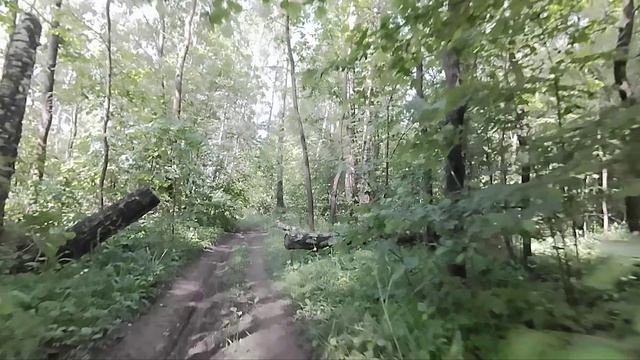 Пробный FPV полет на Runcam Thumb Pro 4K