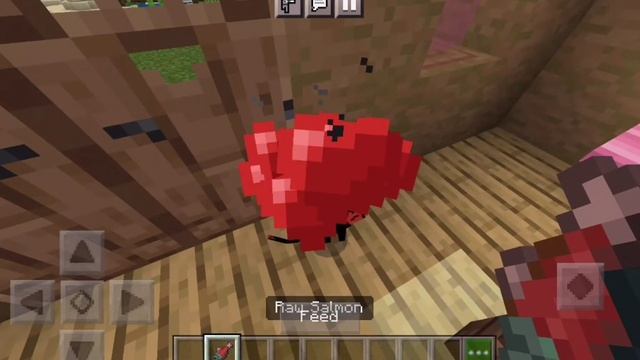 Black And White Cat | Minecraft Texture Pack | Texture World смотреть онлайн