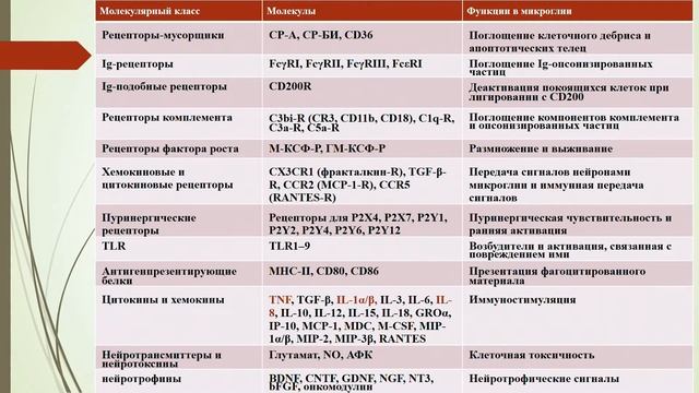 02 Likhvantseva V G смотреть онлайн
