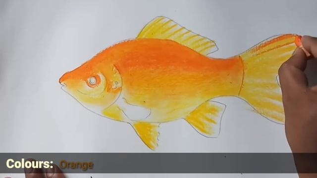 How to draw a gold fish with oil pastel | Kids Drawing смотреть онлайн