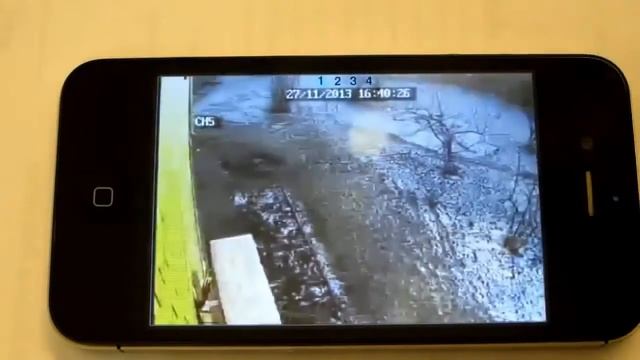 Видеонаблюдение для дачи смотреть онлайн