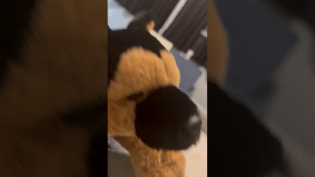 Download robot tag, best gorilla tag knock offs смотреть онлайн