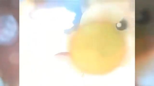 Ash and pikachu { Эш и пикачу} смотреть онлайн