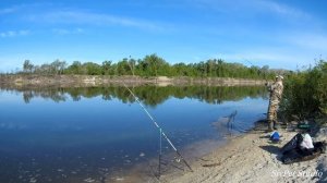 Сазан ловился но только не у нас  Река Дон весна 2020