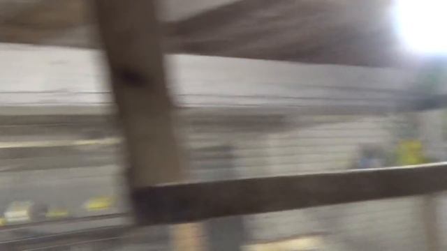 Вольер с щеглами, снегирями, канарейками, чечетками и урагусами. смотреть онлайн