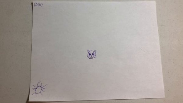 How to play DECIMATED!