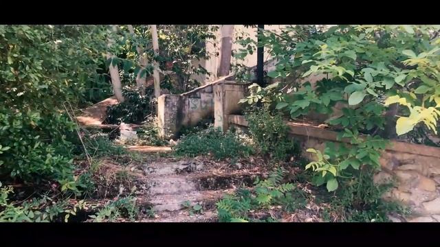 САНАТОРИЙ КРЫМ. ПАРТЕНИТ. О ЗАПРЕТНОМ смотреть онлайн