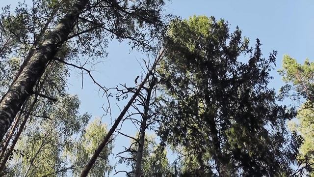 Мотопоезка на озеро Западное и озеро Поныхарь. Ивановская область. Южский район смотреть онлайн