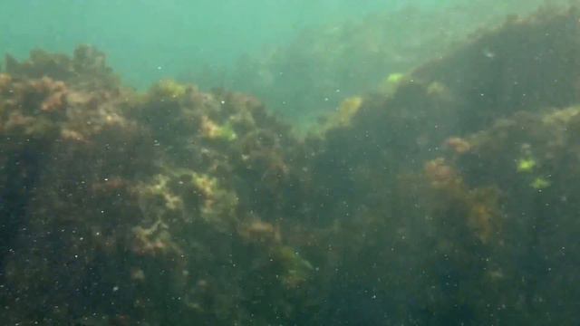 Черное море - Болгария (01) смотреть онлайн