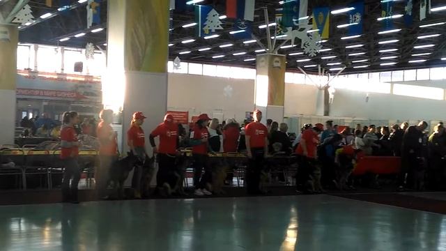 Праздник породы, 7 января ТООЛЖ. смотреть онлайн