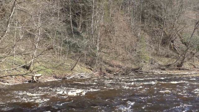 р..Ока (Тверская) 30.04-2.05.2022 Низкая вода смотреть онлайн