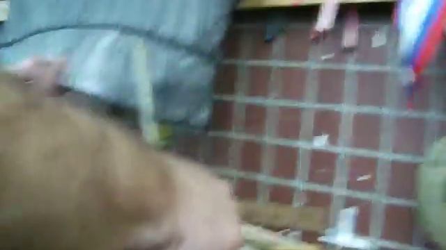 Окраска парусов.avi смотреть онлайн