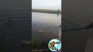 Клёвая рыбалка в Лёдово