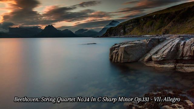 🎇Beethoven: String Quartet No.14 In C Sharp Minor Op.131 - VII. Allegro смотреть онлайн