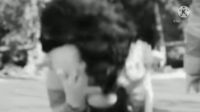 Creepypasta de bely y beto[la venganza de beto/Gabriel Contreras BB ??????. смотреть онлайн