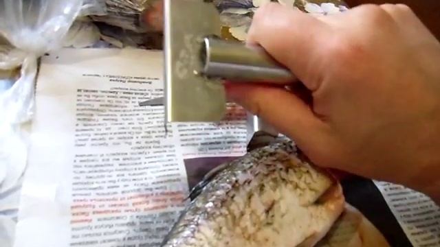 Рыбочистка из нержавеющей стали - прочно и надёжно. Adaptations from stainless steel. смотреть онлайн