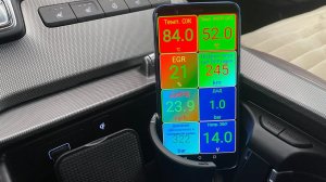 Hyundai Palisade прожиг DPF