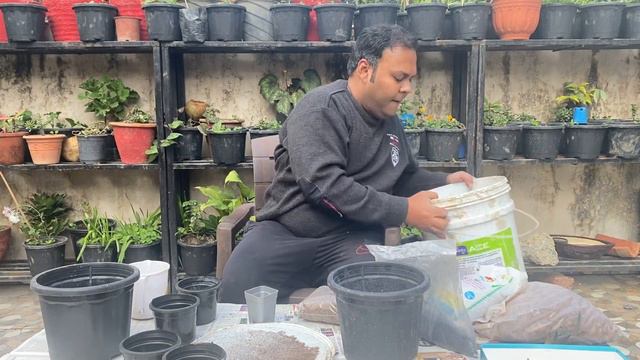 Episode 2 :: Haworthia Potting Mix (Soilless Potting Mix)