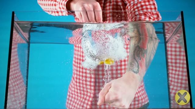 15 Cosas Vistas En Cámara Lenta! ? ?