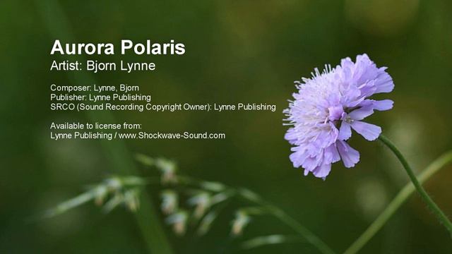 Aurora Polaris - Bjorn Lynne (Lynne Publishing) смотреть онлайн