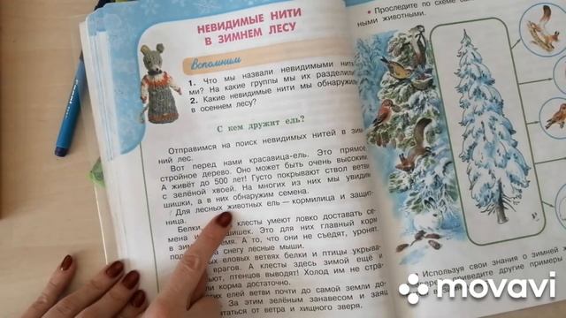 Учимся письменно отвечать на вопросы. Работаем с текстом. смотреть онлайн