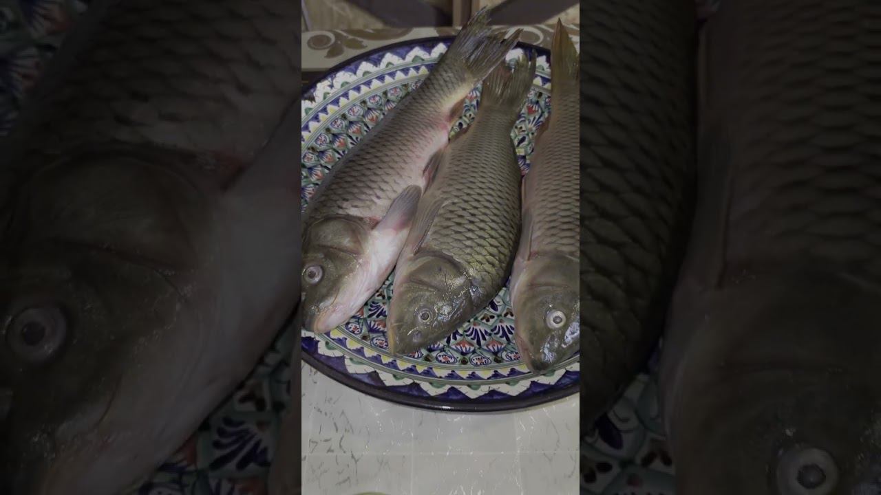 Тандыр Сазан смотреть онлайн