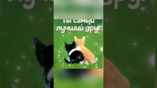 Любимый муж! Афанасьев Александр. смотреть онлайн