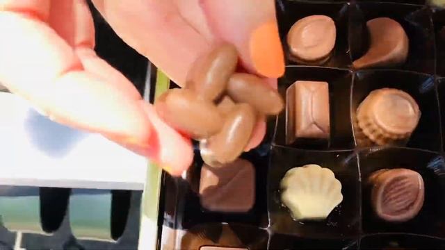 Шоколадные конфеты ассорти. Обзор. София Голдберг смотреть онлайн