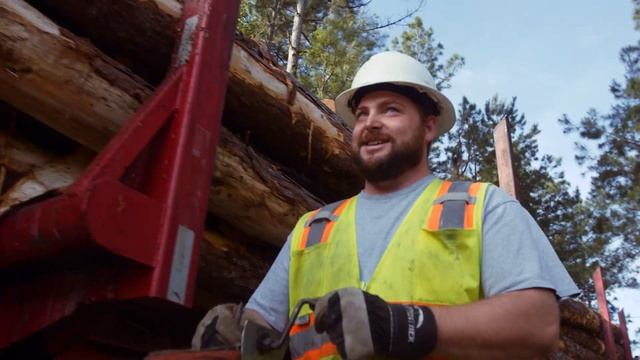 From Trees to Lumber: Watch how boards are made from pine trees смотреть онлайн