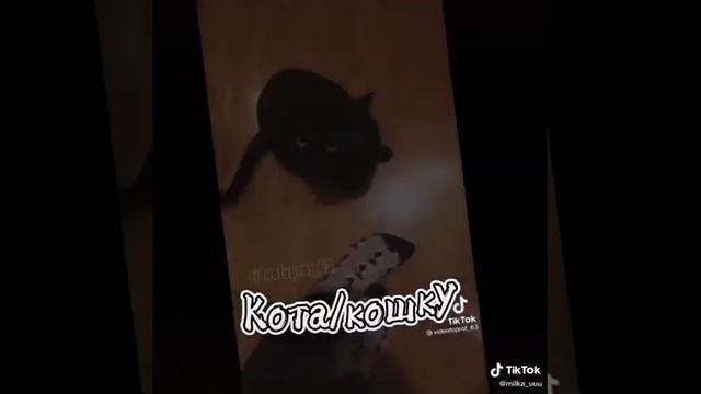 кого завести ведьмочке? ???Вот и ответ?????? Лю вас???☺ смотреть онлайн