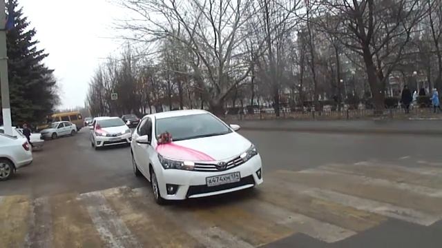 КОРТЕЖ из ПЯТИДЕСЯТИ ТОЙОТ. Свадебный кортеж Волгоград авто на свадьбу украшения для свадебных маши смотреть онлайн