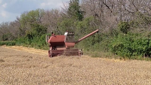 КУДА ДЕТЬ ЗЕРНО? УБОРКА ПРОДОЛЖАЕТСЯ смотреть онлайн