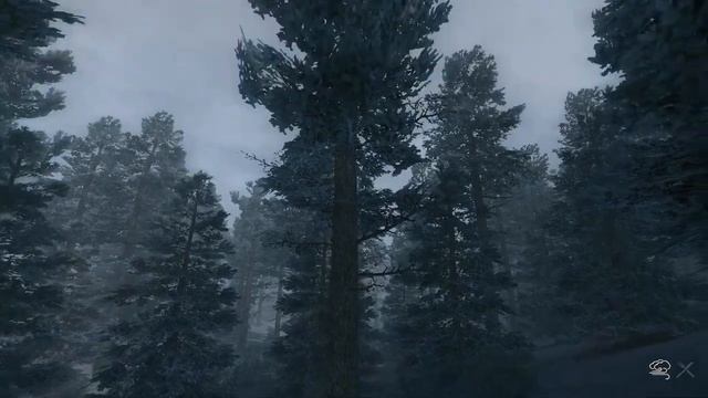 ПРОБЛЕСК НАДЕЖДЫ #14, прохождение ALONE IN WINDSTORM смотреть онлайн
