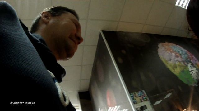 Контактный зоопарк Минск 4 смотреть онлайн