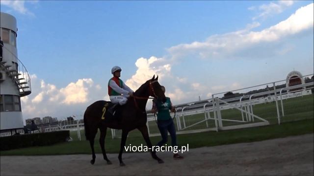 Gon. VI (N. Próbna) - 27.08.2017 - Parys (Ecosse - Princess of Java) смотреть онлайн