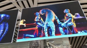 Большой Московский Цирк на Проспекте Вернадского - Отличное место для Дня Рождения!