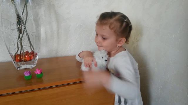 ❒ Растущие кактусы - секрет роста / Growing Cacti - The Secret Of Growth