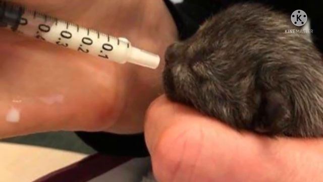 Кроха сидела под проливным дождем и тихо плакала. Невероятно, что малыша заметила девушка смотреть онлайн